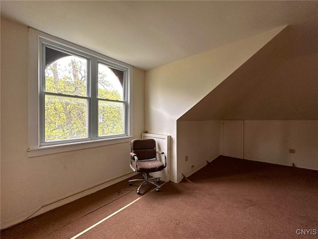 169 Pleasant St, Utica, NY 13501 - bonus room featuring plenty of natural light and carpet floors