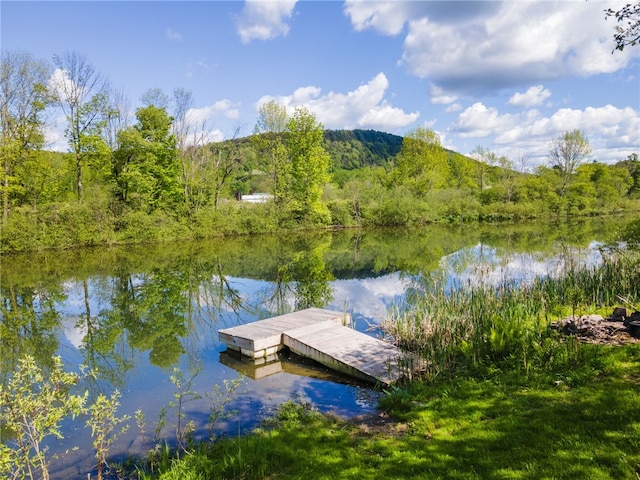 6940 County Highway 18, Plainfield, NY 13491 - dock with a water and mountain view
