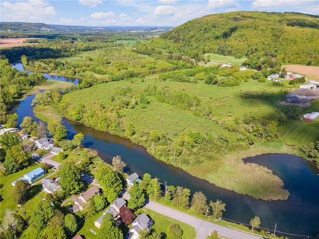 6940 County Highway 18, Plainfield, NY 13491 - aerial view of a nearby body of water and a heavily wooded area