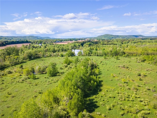 6940 County Highway 18, Plainfield, NY 13491 - aerial view of a mountain backdrop and a forest