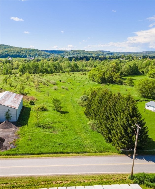 6940 County Highway 18, Plainfield, NY 13491 - drone / aerial view