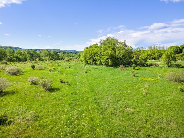 6940 County Highway 18, Plainfield, NY 13491 - view of nature