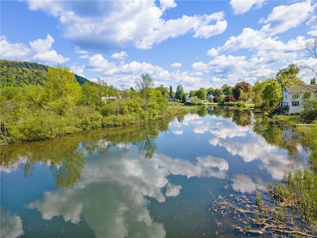 6940 County Highway 18, Plainfield, NY 13491 - water view with a forest