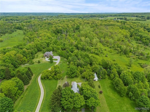 1822 Grover Rd, Aurora, NY 14052 - aerial view of a heavily wooded area