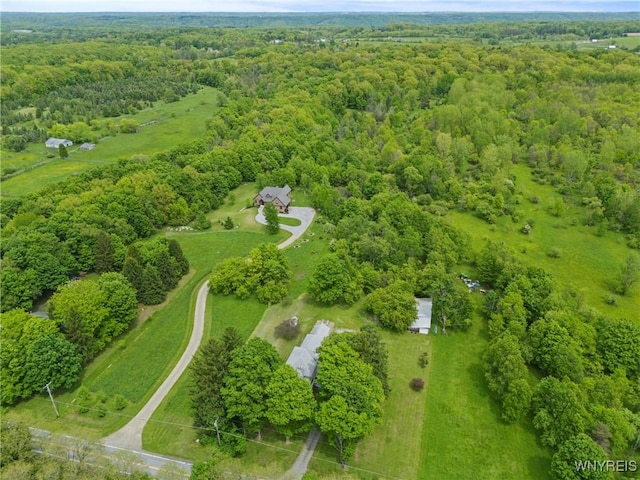 1822 Grover Rd, Aurora, NY 14052 - bird's eye view of a forest
