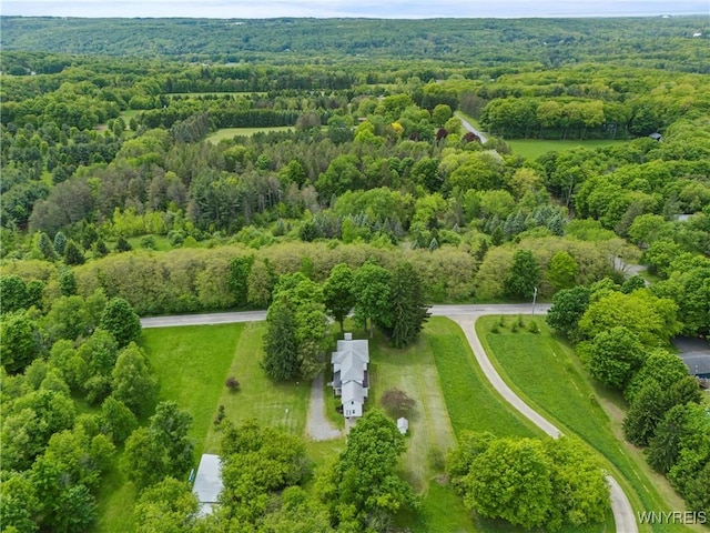 1822 Grover Rd, Aurora, NY 14052 - drone / aerial view of a forest
