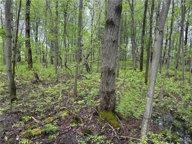 Gokey Rd, Lawrence, NY 12967