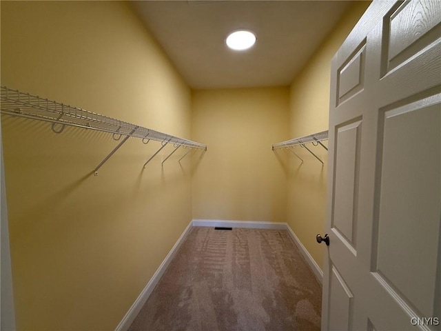 10 Platten Dr, Elbridge, NY 13080 - spacious closet featuring carpet flooring