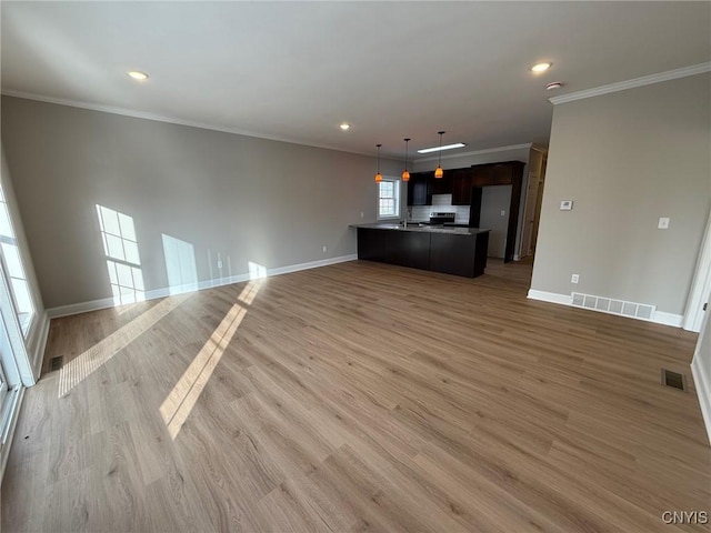 10 Platten Dr, Elbridge, NY 13080 - unfurnished living room featuring ornamental molding, light wood-style floors, baseboards, recessed lighting, and a sink