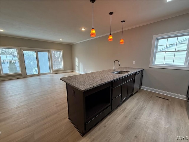 10 Platten Dr, Elbridge, NY 13080 - kitchen with a sink, stainless steel dishwasher, ornamental molding, light wood-style flooring, and plenty of natural light