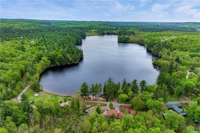 161 Portaferry Lake Dr, Pitcairn, NY 13648 - aerial view of a heavily wooded area and a large body of water