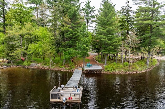 161 Portaferry Lake Dr, Pitcairn, NY 13648 - dock area with a water view