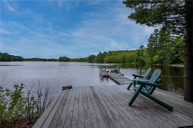 161 Portaferry Lake Dr, Pitcairn, NY 13648 - dock featuring a water view and a wooded view