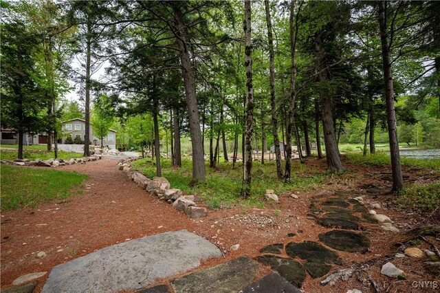 161 Portaferry Lake Dr, Pitcairn, NY 13648 - view of property's community