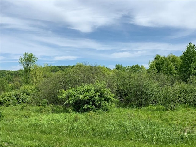0 Bingham Collins Rd, Columbus, NY 13460