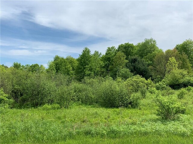 0 Bingham Collins Rd, Columbus, NY 13460 - photo 4