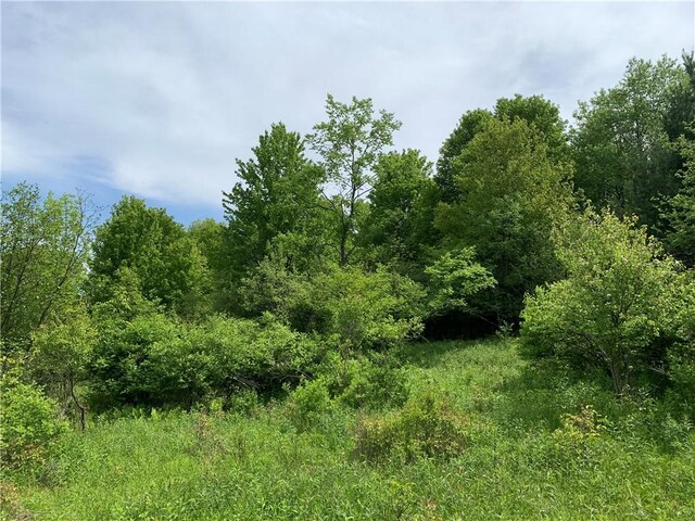 0 Bingham Collins Rd, Columbus, NY 13460 - photo 5
