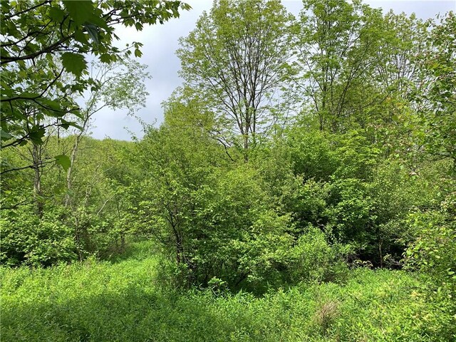 0 Bingham Collins Rd, Columbus, NY 13460 - photo 6