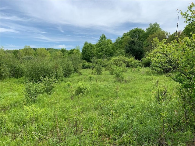 0 Bingham Collins Rd, Columbus, NY 13460