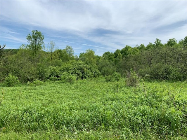0 Bingham Collins Rd, Columbus, NY 13460