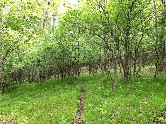 0 Bingham Collins Rd, Columbus, NY 13460