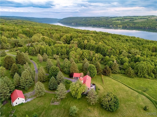 1539 Tracy Dr, Spafford, NY 13152 - photo 45