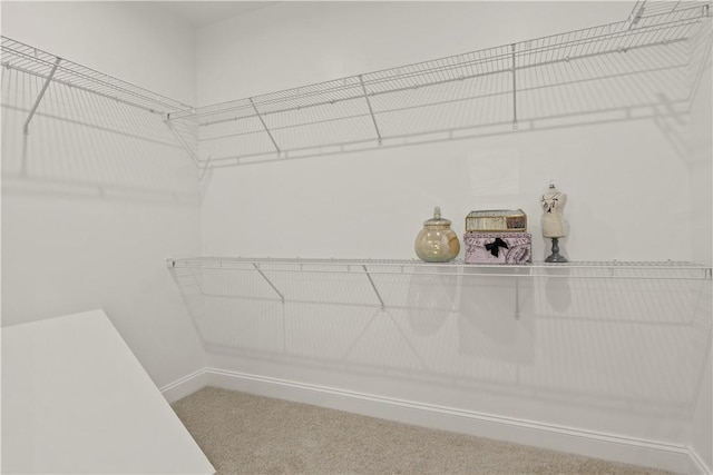 35 Chase Meadow Trl, Mendon, NY 14472 - spacious closet with carpet flooring