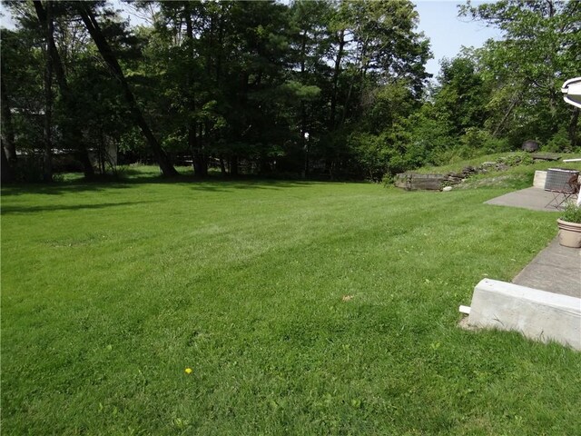 1737 Genesee Rd, Elmira, NY 14905 - view of green lawn