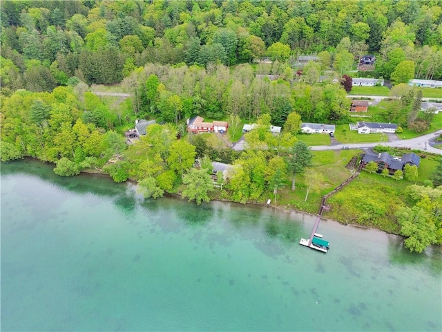 63 Lakeview Dr N, Middlefield, NY 13326 - aerial view of property and surrounding area featuring a nearby body of water and a forest