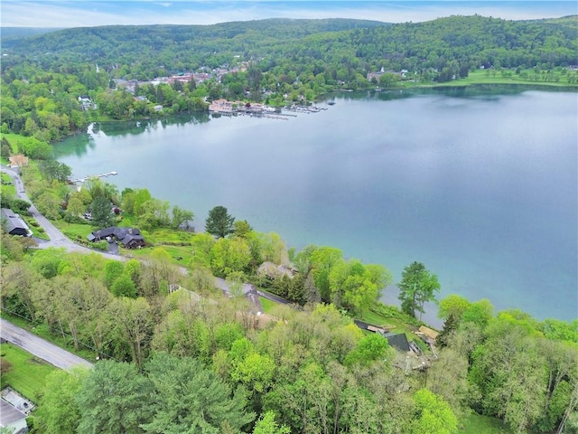 63 Lakeview Dr N, Middlefield, NY 13326 - aerial view of property and surrounding area featuring a heavily wooded area and a nearby body of water