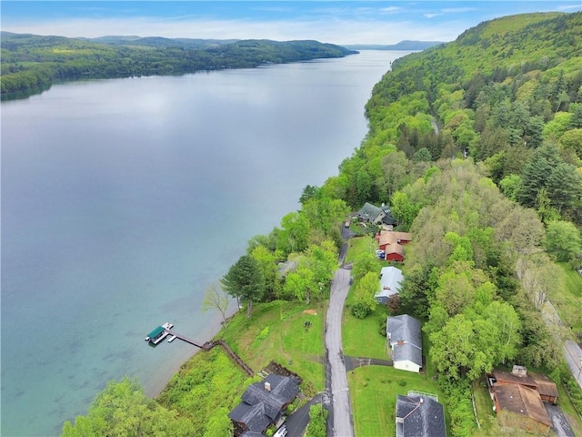 63 Lakeview Dr N, Middlefield, NY 13326 - drone / aerial view of a large body of water and a forest