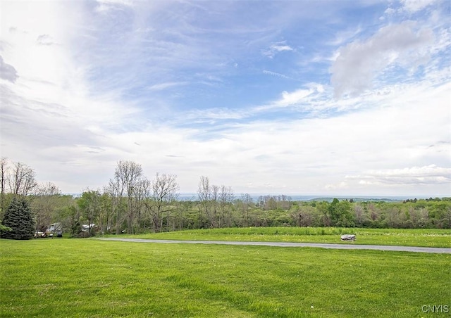 6010 E Lake Rd, Sullivan, NY 13035 - view of green lawn