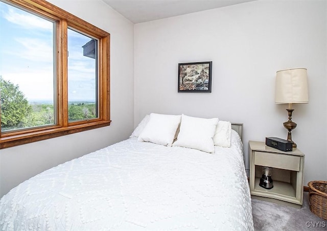 6010 E Lake Rd, Sullivan, NY 13035 - bedroom with carpet