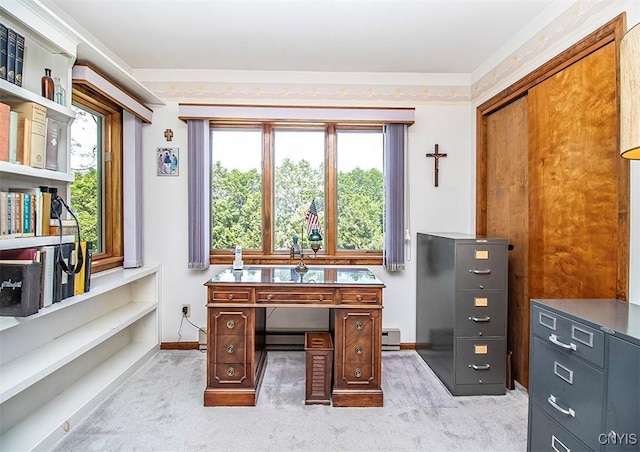 6010 E Lake Rd, Sullivan, NY 13035 - home office featuring light colored carpet and baseboards
