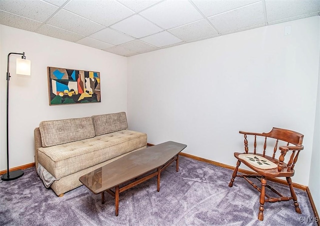 6010 E Lake Rd, Sullivan, NY 13035 - sitting room featuring a paneled ceiling, baseboards, and carpet floors