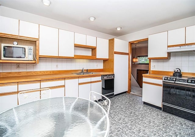 6010 E Lake Rd, Sullivan, NY 13035 - kitchen with white microwave, electric range oven, under cabinet range hood, black dishwasher, and a sink