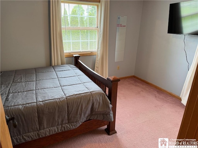 8900 Brownell Rd, Clymer, NY 14724 - carpeted bedroom featuring baseboards
