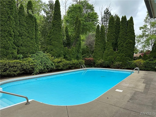 55 Hemlock Ln, Lancaster, NY 14086 - outdoor pool featuring a forest view