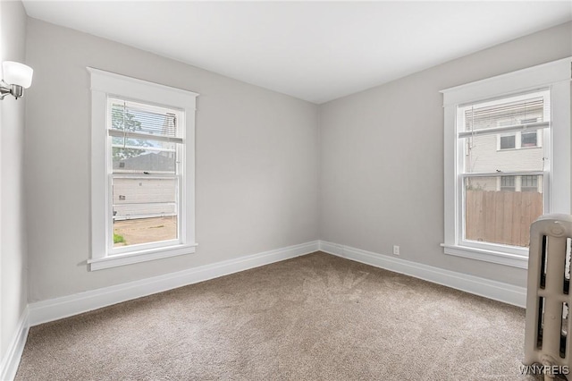 143 Lovering Ave, Buffalo, NY 14216 - empty room with carpet flooring and baseboards