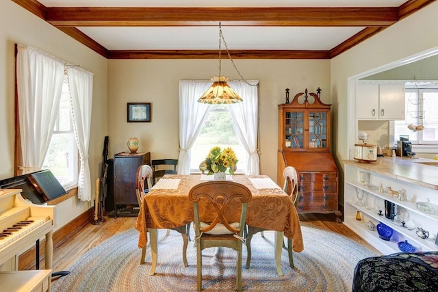 1031 Main St, Middletown, NY 12455 - dining room featuring healthy amount of natural light, light wood-type flooring, beamed ceiling, and crown molding