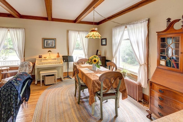1031 Main St, Middletown, NY 12455 - dining room featuring light wood-style flooring, radiator, beamed ceiling, and crown molding