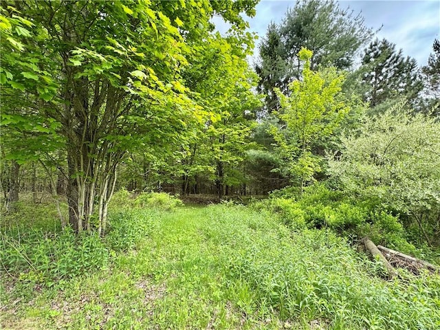 188 Collars Rd, Milford, NY 13820 - photo 9