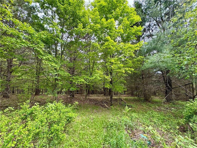 188 Collars Rd, Milford, NY 13820 - photo 10