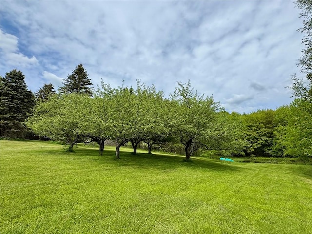 188 Collars Rd, Milford, NY 13820 - photo 36