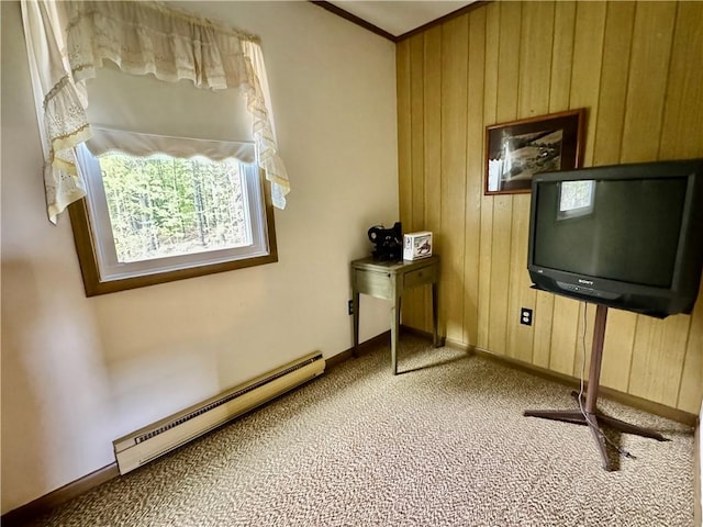 188 Collars Rd, Milford, NY 13820 - photo 29
