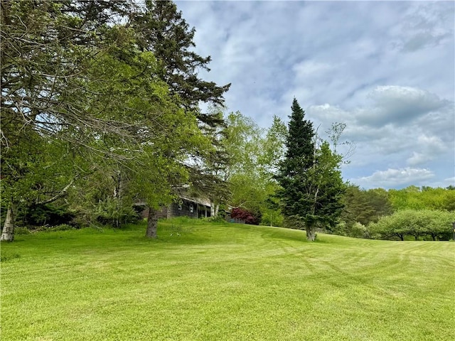 188 Collars Rd, Milford, NY 13820 - photo 38