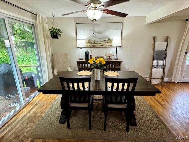 8521 Cazenovia Rd, Pompey, NY 13104 - dining room with wood finished floors and a ceiling fan
