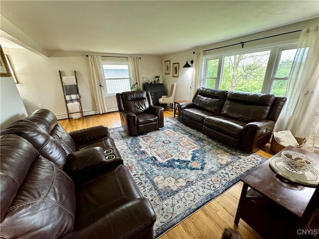 8521 Cazenovia Rd, Pompey, NY 13104 - living area featuring wood finished floors