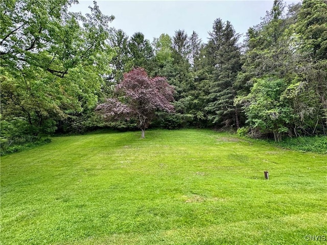 8521 Cazenovia Rd, Pompey, NY 13104 - view of green lawn