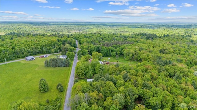338 Dutch Hill Rd Unit 326, Parish, NY 13167 - bird's eye view of a forest